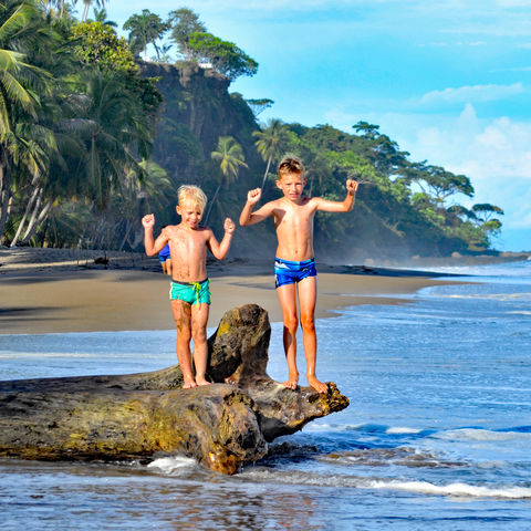 Afbeelding omschrijving