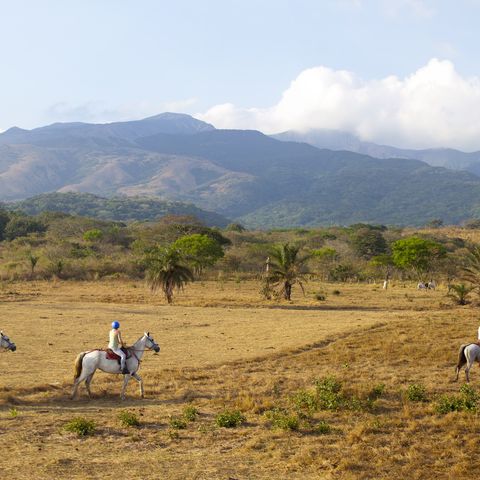 Afbeelding omschrijving