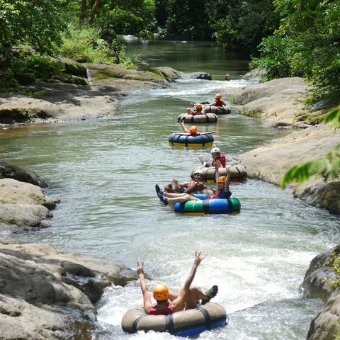 Afbeelding omschrijving