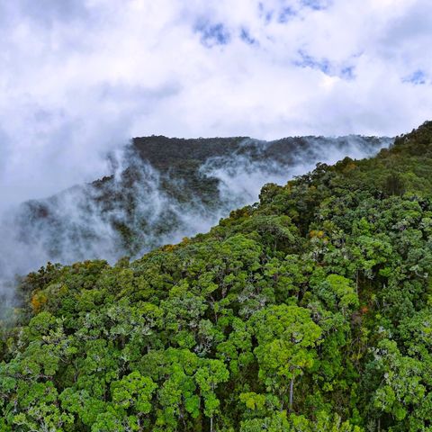 Afbeelding omschrijving