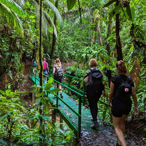 Wandelen in de jungle van Sarapiquí