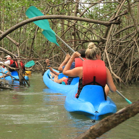 Afbeelding omschrijving