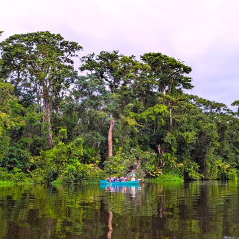 Afbeelding omschrijving