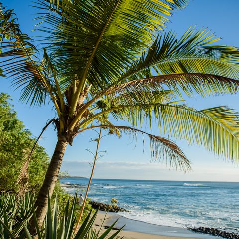 Afbeelding omschrijving