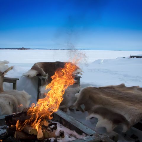Familiereis Lapland