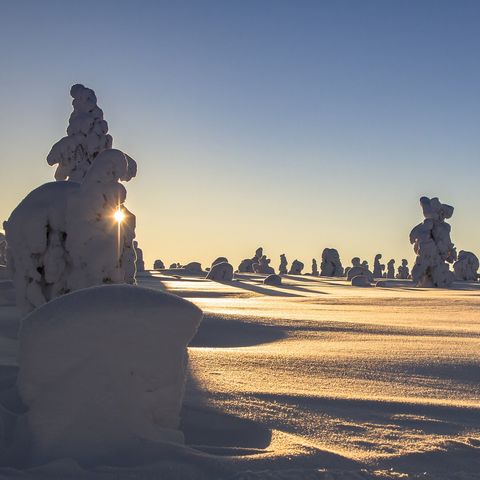 Familiereis Lapland