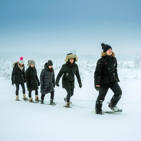 Sneeuwschoen wandeling, Fins Lapland
