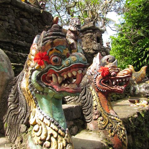 Afbeelding omschrijving