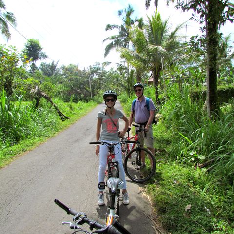 Afbeelding omschrijving