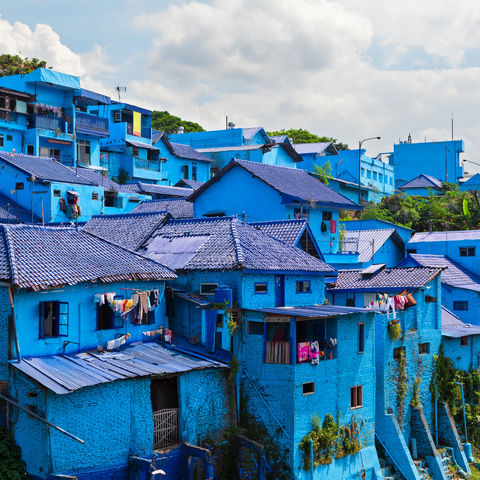 Afbeelding omschrijving