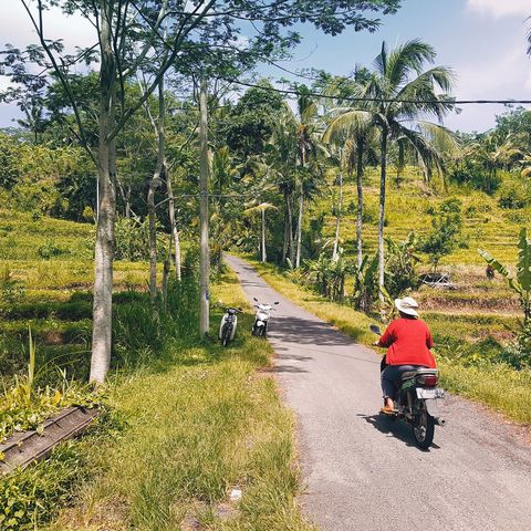 Afbeelding omschrijving