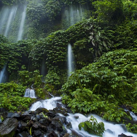 Afbeelding omschrijving