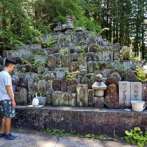 Afbeelding omschrijving