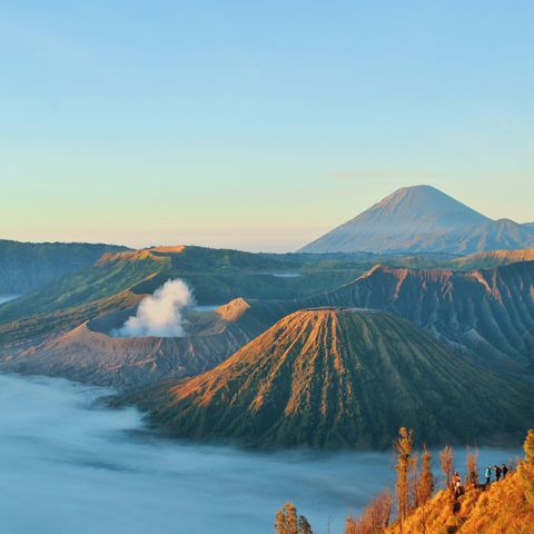 Afbeelding omschrijving