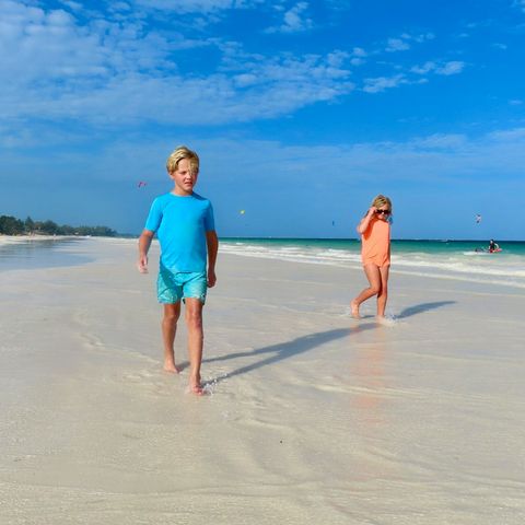 Afbeelding omschrijving