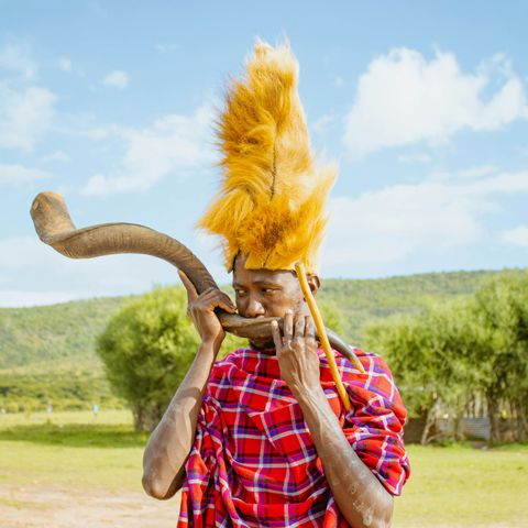 Afbeelding omschrijving