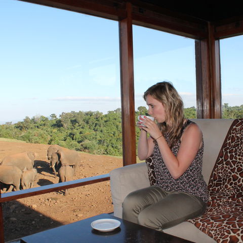 Olifanten spotten vanuit lodge in Kenia