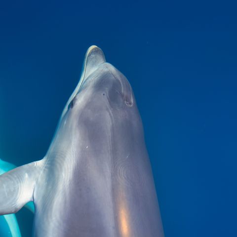 Afbeelding omschrijving