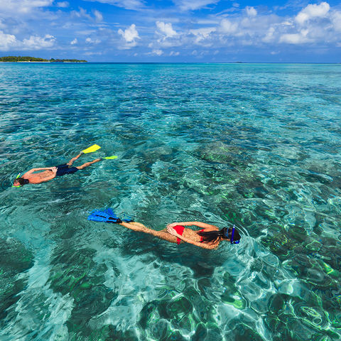 Afbeelding omschrijving