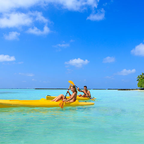 Afbeelding omschrijving