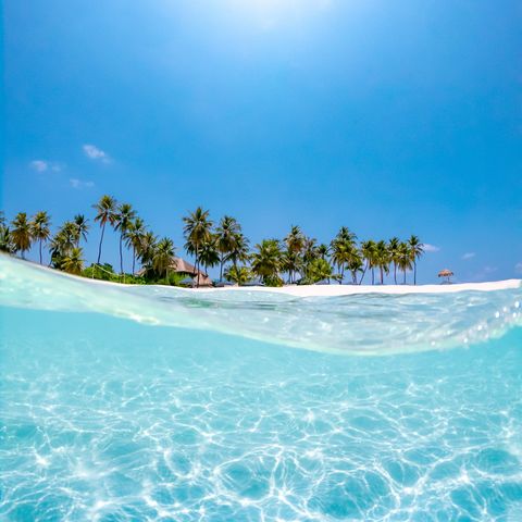 Afbeelding omschrijving