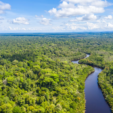 Afbeelding omschrijving
