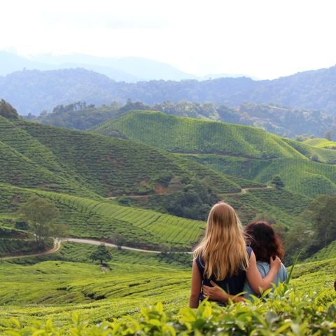 Afbeelding omschrijving