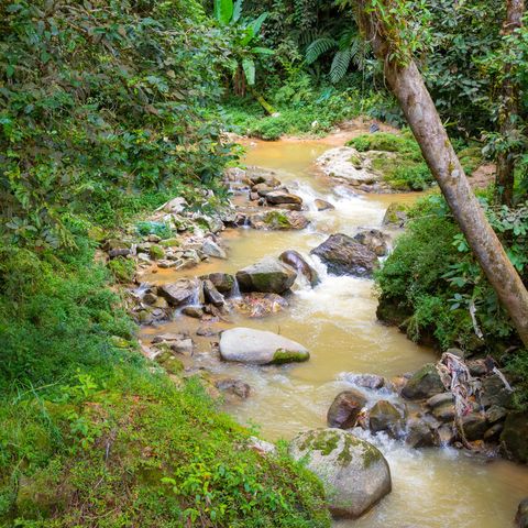 Afbeelding omschrijving