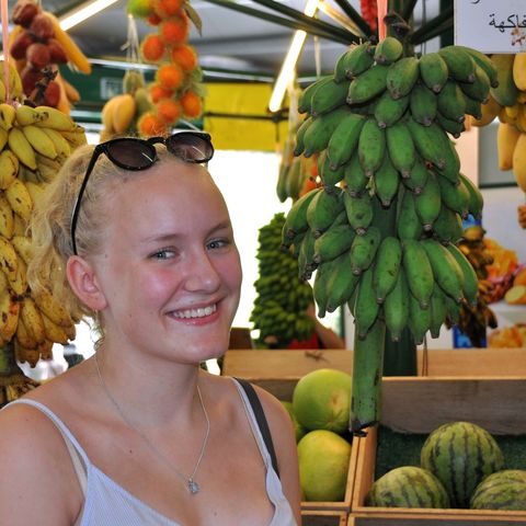 Afbeelding omschrijving