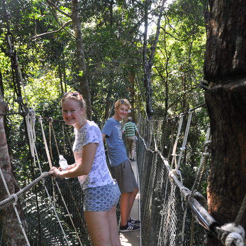 Afbeelding omschrijving