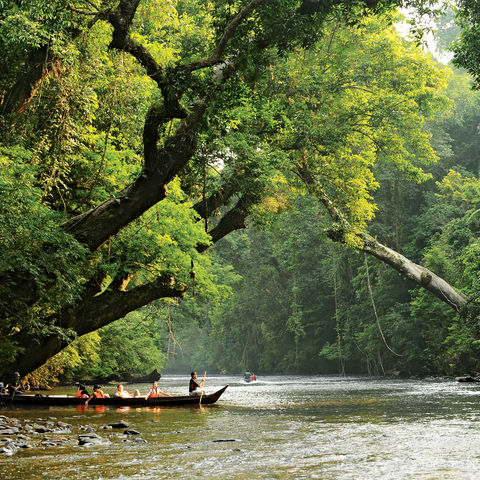 Afbeelding omschrijving