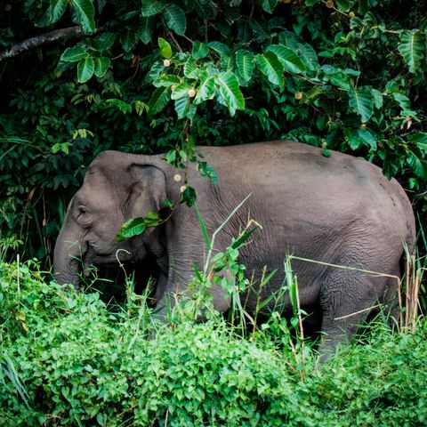 Afbeelding omschrijving