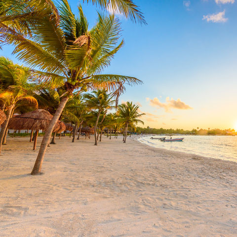 Afbeelding omschrijving