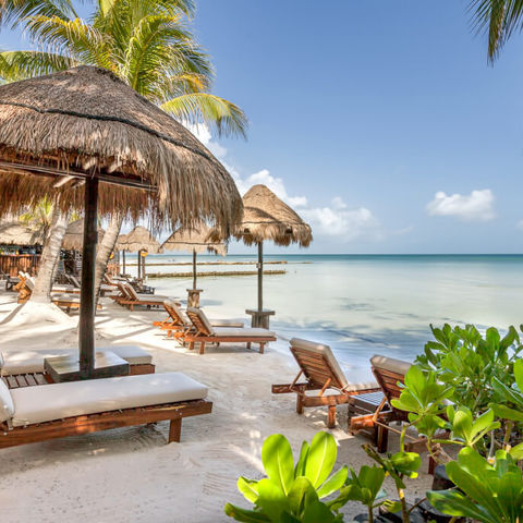 Afbeelding omschrijving