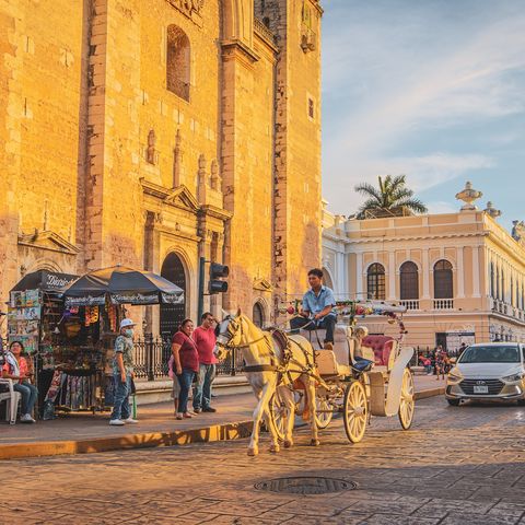 Afbeelding omschrijving