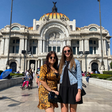 Afbeelding omschrijving