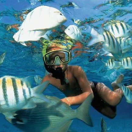 Afbeelding omschrijving