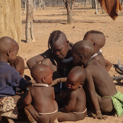 Afbeelding omschrijving