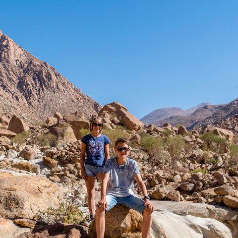 Afbeelding omschrijving