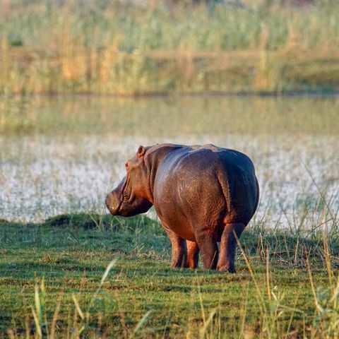 Afbeelding omschrijving