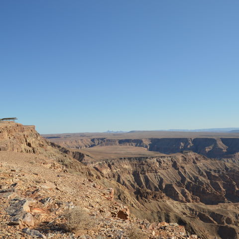 Afbeelding omschrijving