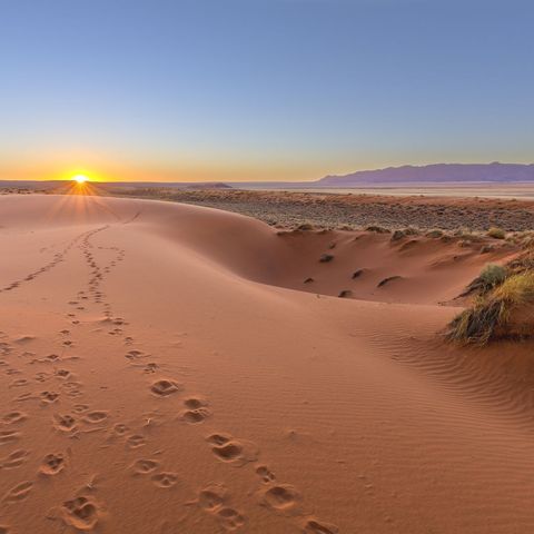 Afbeelding omschrijving