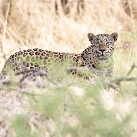 Afbeelding omschrijving