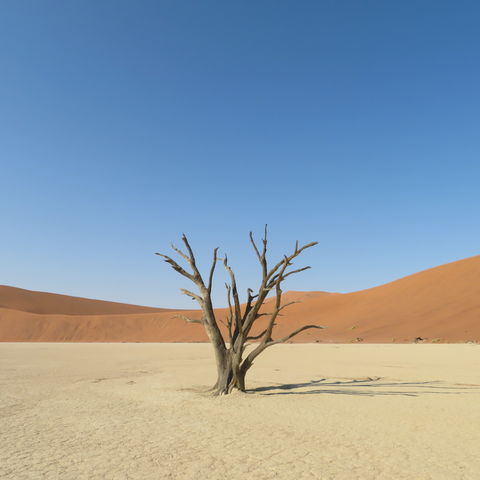 Afbeelding omschrijving