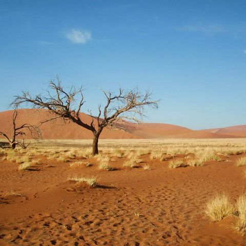 Afbeelding omschrijving