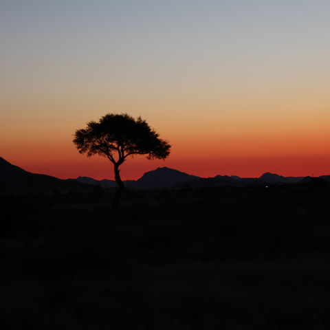 Reizen Met Kinderen Namibie Travelnauts Experts In Verre Gezinsreizen