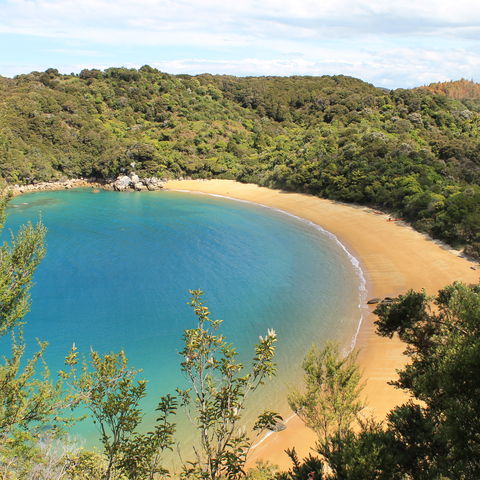 Afbeelding omschrijving
