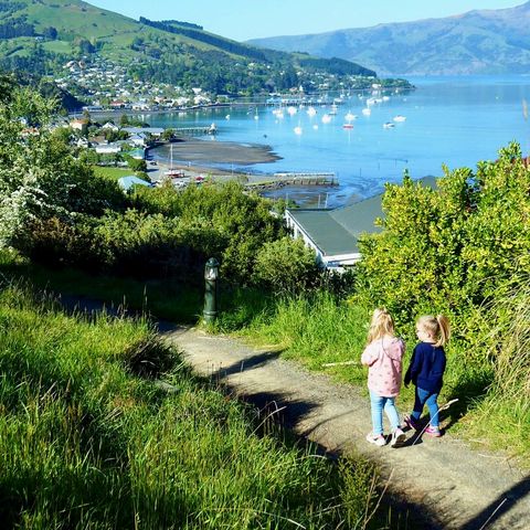 Afbeelding omschrijving