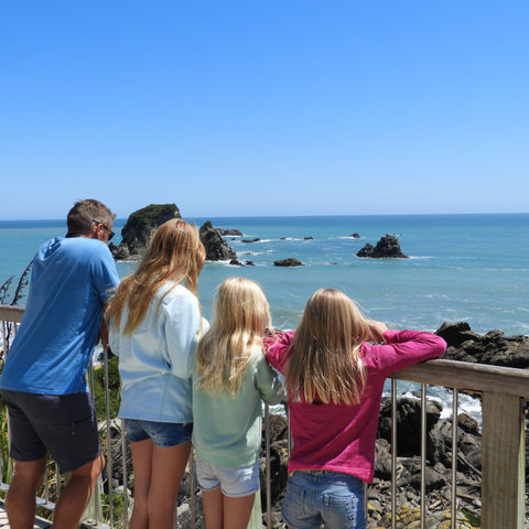 Afbeelding omschrijving