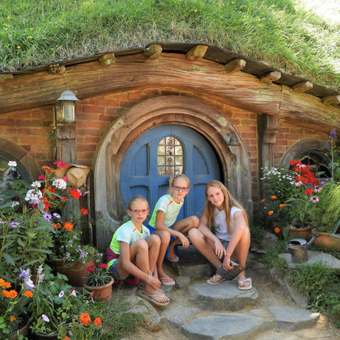 Afbeelding omschrijving